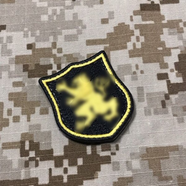 画像1: MADE IN USA  実物 DEVGRU ゴールドチーム 小型ライオンパッチ (60)