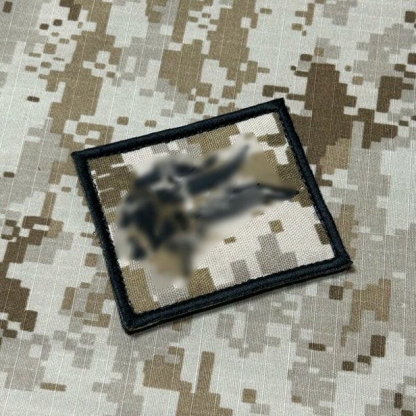 画像1: MADE IN USA  実物 DEVGRU グレイチームパッチ (85)