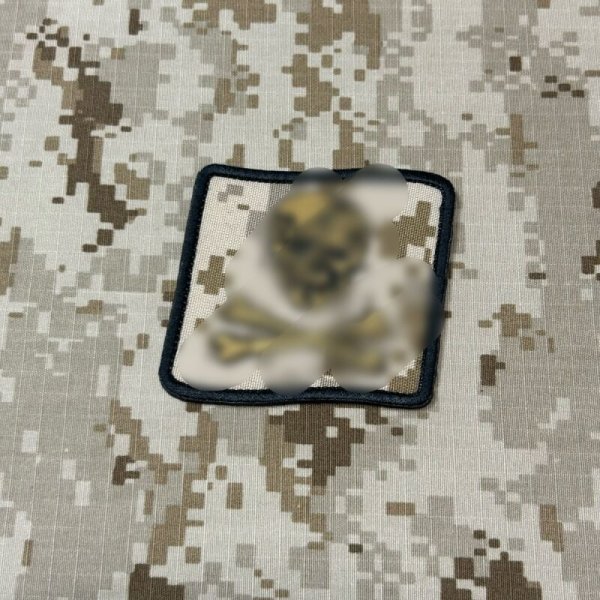 画像1: MADE IN USA  実物 DEVGRU ブルーチームパッチ aor1 カラー(89) B