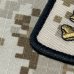 画像3: MADE IN USA  実物 DEVGRU ブルーチームパッチ aor1 カラー(89) B (3)