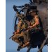 画像6: MADE IN USA  実物 DEVGRU ゴールドチームクルセイダーパッチ (93)