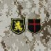 画像1: MADE IN USA  実物 DEVGRU ゴールドチーム 小型サイズパッチ (95) (1)