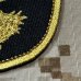 画像2: MADE IN USA  実物 DEVGRU ゴールドチームパッチ  (94) (2)