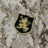 MADE IN USA  実物 DEVGRU ゴールドチームパッチ  (94)