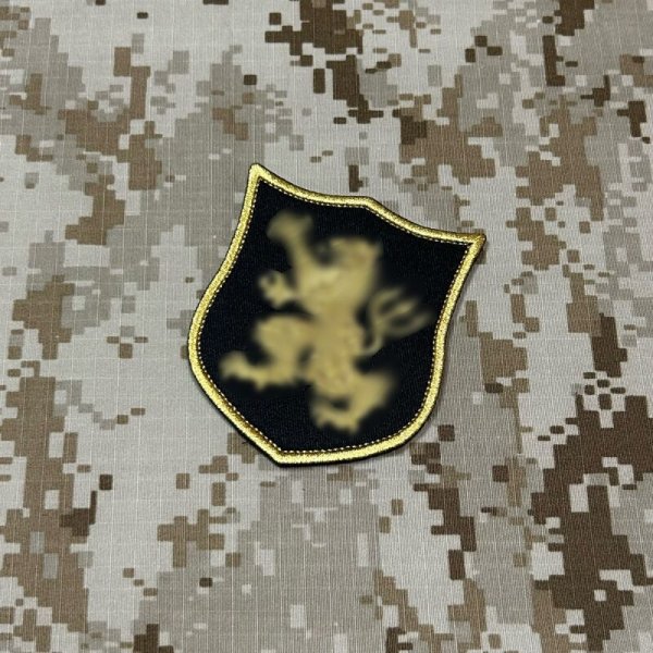 画像1: MADE IN USA  実物 DEVGRU ゴールドチームパッチ  (94)