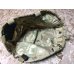 画像3: 実物 crye precisiopn MICH / ACH ヘルメットカバーマルチカム　L:size　新品