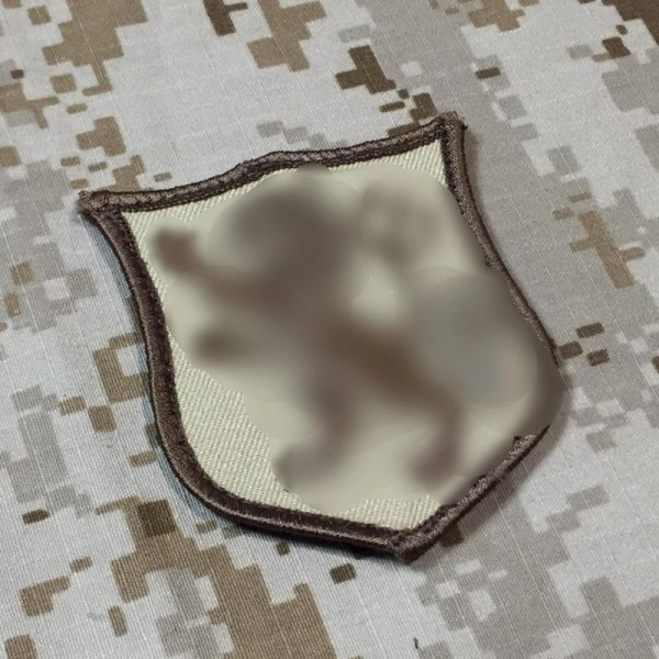 画像1: MADE IN USA  実物 DEVGRU ゴールドチームパッチ (1)