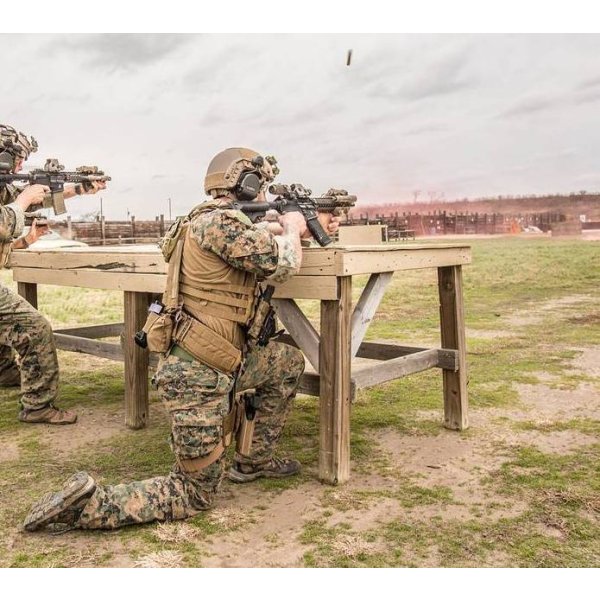 画像17: 実物 crye precision AVS スタンダード プレートキャリアセット coyote  Mサイズ