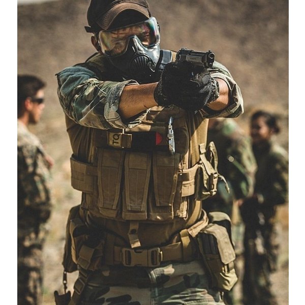 画像16: 実物 crye precision AVS スタンダード プレートキャリアセット coyote  Mサイズ