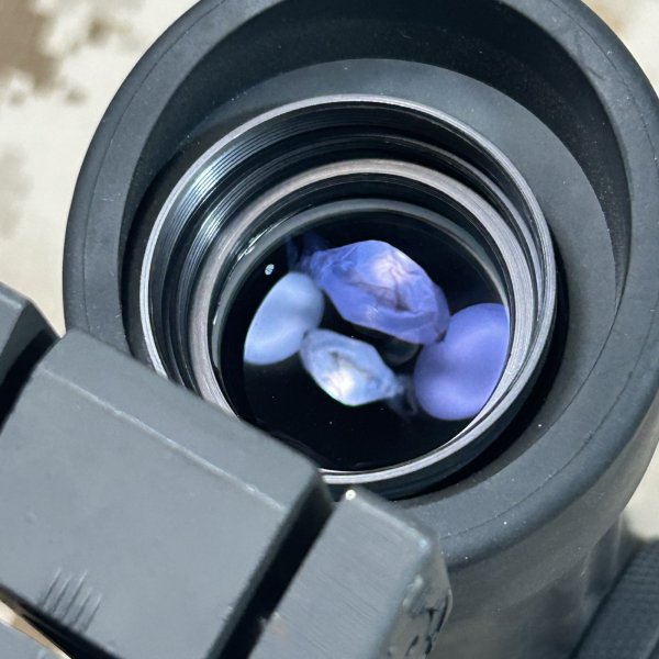 画像10: 実物 ELCAN M145C オプティカルサイト M240/M249 machine gun reticle 美品　キルフラッシュ付き