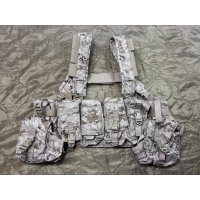 実物 EAGLE aor1 MPCR (マルチパーパスチェストリグ) 初期ロット 2007年 美品