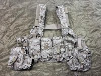 実物 EAGLE aor1 MPCR (マルチパーパスチェストリグ) 初期ロット 2007年 美品