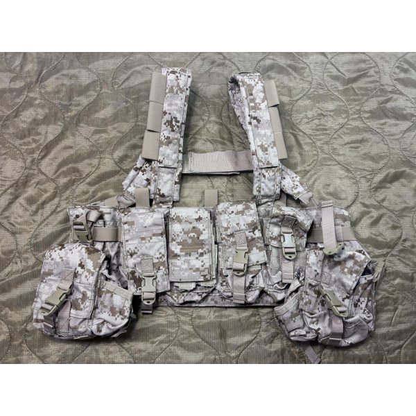 画像1: 実物 EAGLE aor1 MPCR (マルチパーパスチェストリグ) 初期ロット 2007年 美品