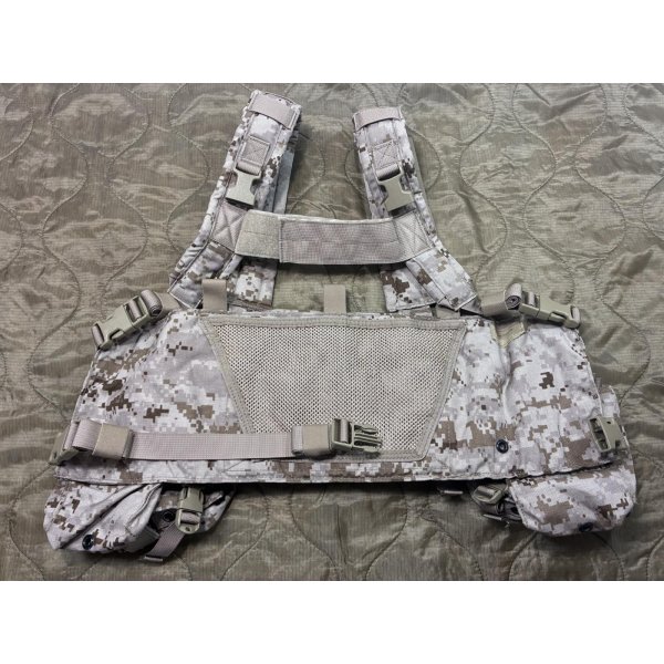 画像5: 実物 EAGLE aor1 MPCR (マルチパーパスチェストリグ) 初期ロット 2007年 美品