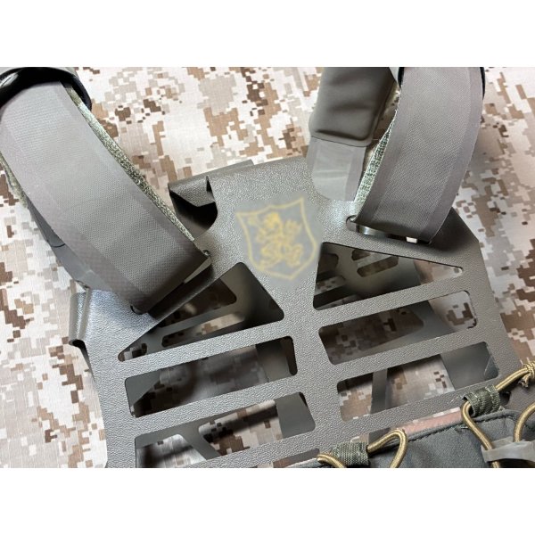 画像5: 実物官給品 GOLD TEAM バージョン S&S PRECISION  Plate Frame  LARGE（Toadvine）swimmer cut  放出品