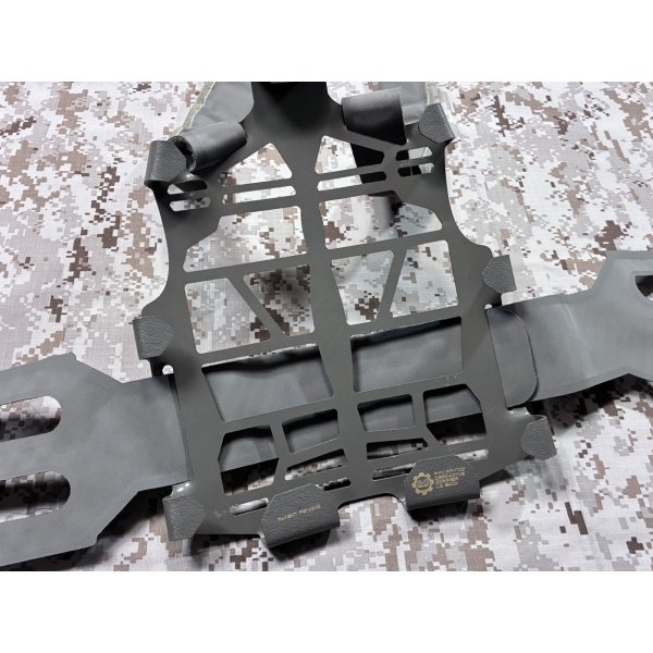 画像14: 実物官給品 GOLD TEAM バージョン S&S PRECISION  Plate Frame  LARGE（Toadvine）swimmer cut  放出品