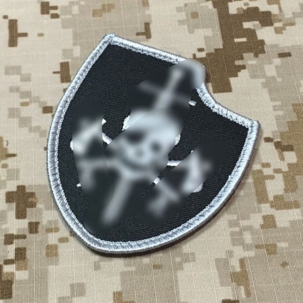 画像1: MADE IN USA  実物 DEVGRU シルバーチームパッチ (1) (1)