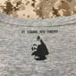 画像9: DEVGRU Tシャツ　type1  GRAY/BLACK (9)