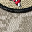 画像2: MADE IN USA  実物 SEALteam1 刺繍パッチ （17） (2)