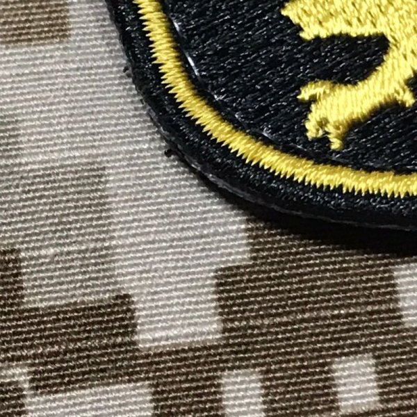 画像2: MADE IN USA  実物 DEVGRU ゴールドチーム 小型ライオンパッチ (60) (2)