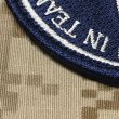 画像3: MADE IN USA  実物 SEALteam3 刺繍パッチ （76） (3)