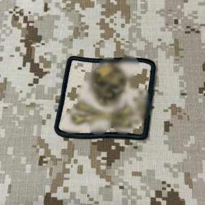 画像: MADE IN USA  実物 DEVGRU ブルーチームパッチ aor1 カラー(89) B
