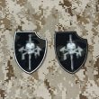 画像1: MADE IN USA  実物 DEVGRU シルバーチームパッチ (97) (1)