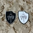 画像1: MADE IN USA オールド  実物 DEVGRU シルバーチームパッチ (98) (1)