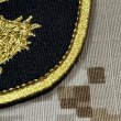 画像2: MADE IN USA  実物 DEVGRU ゴールドチームパッチ  (94) (2)