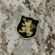 画像1: MADE IN USA  実物 DEVGRU ゴールドチームパッチ  (94) (1)