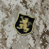 画像: MADE IN USA  実物 DEVGRU ゴールドチームパッチ  (94)