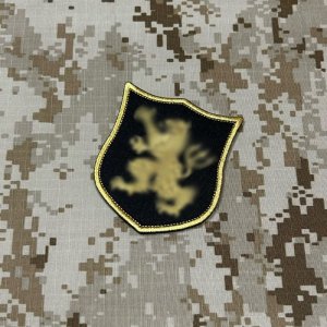 画像: MADE IN USA  実物 DEVGRU ゴールドチームパッチ  (94)