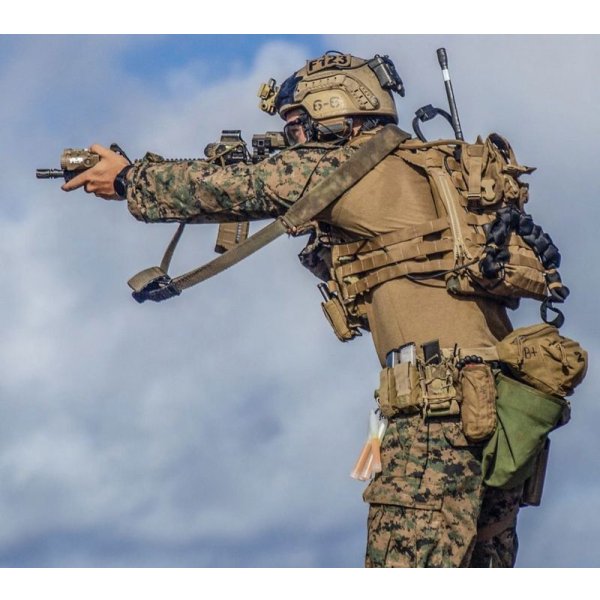 画像15: 実物 crye precision AVS スタンダード プレートキャリアセット coyote  Mサイズ (15)