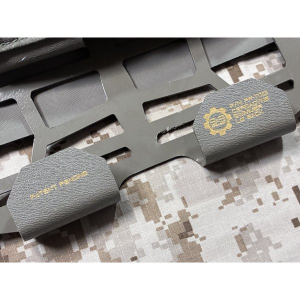 画像13: 実物官給品 GOLD TEAM バージョン S&S PRECISION  Plate Frame  LARGE（Toadvine）swimmer cut  放出品 (13)