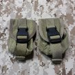 画像1: オールド 実物 EAGLE MLCS シングル ハンドグレネードポーチ (1)