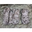 画像1: 実物 EAGLE aor1 ダブル AK/M4 マグポーチ 01/07 (1)
